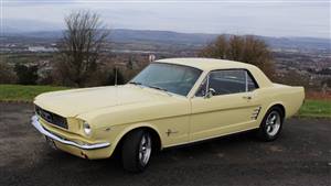 Ford Mustang 1965 Hardtop Wedding car. Click for more information.