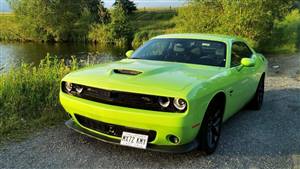 Dodge Challenger Wedding car. Click for more information.